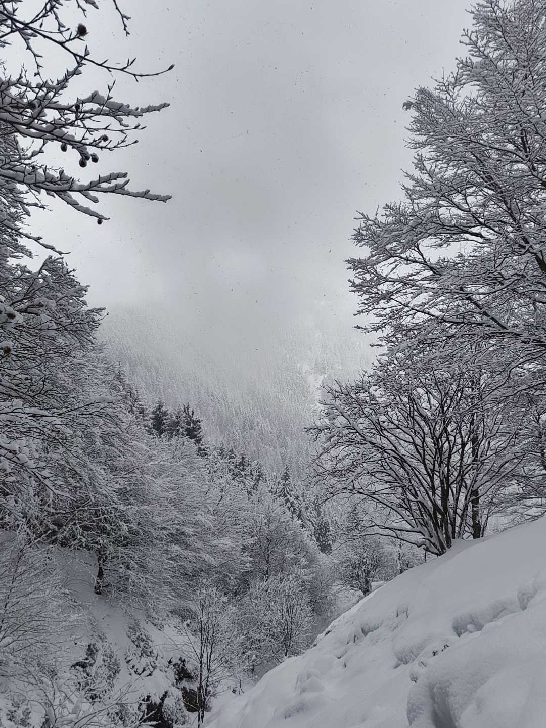 Foto n° 26 del trekking Bivacco del Gufo - Pizzo Pernice │ Alpe Curgei